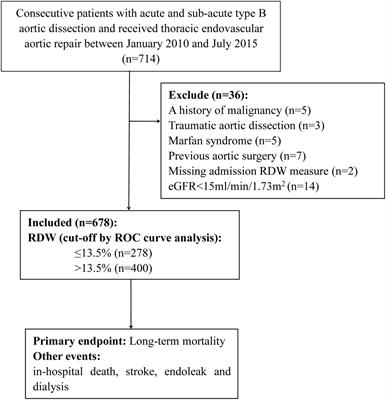 Red Blood Cell Distribution Width: A Prognostic Marker in Patients With Type B Aortic Dissection Undergoing Endovascular Aortic Repair